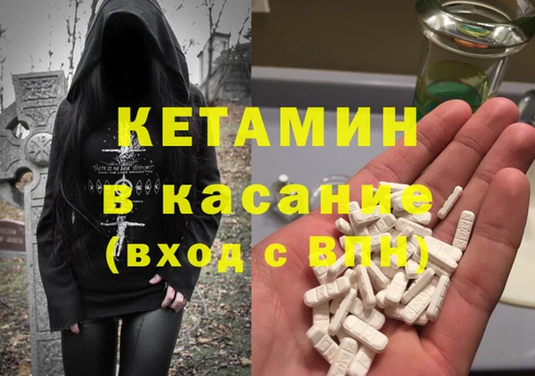 шишки Верея