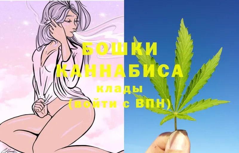 Бошки марихуана THC 21%  нарко площадка какой сайт  Краснознаменск  MEGA зеркало 